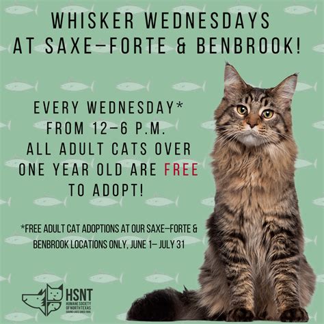 waggin tails benbrook texas|Get down to our Benbrook .